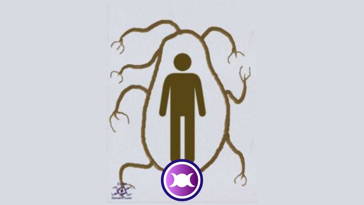 10 types of Psychic Vampires: protect yourself from them!
