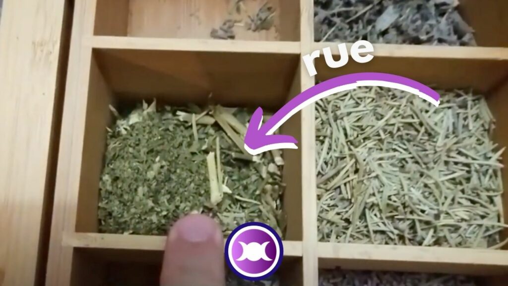 Banish Spell ingredient - dried rue