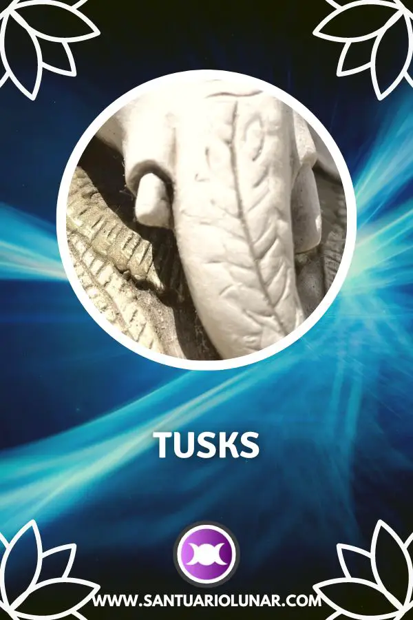 Symbols of Ganesha - 05 Tusks