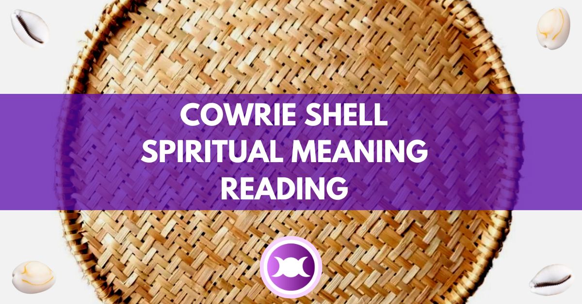 Cowrie Shell Spiritual Meaning Reading