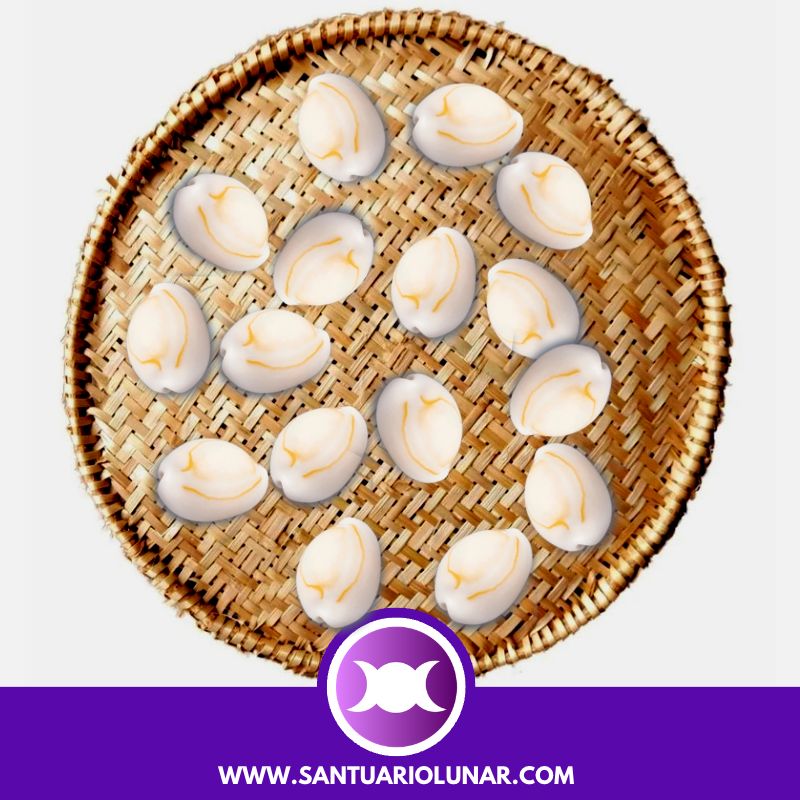 Free Cowrie Shells spiritual meaning reading - 00 Neutral