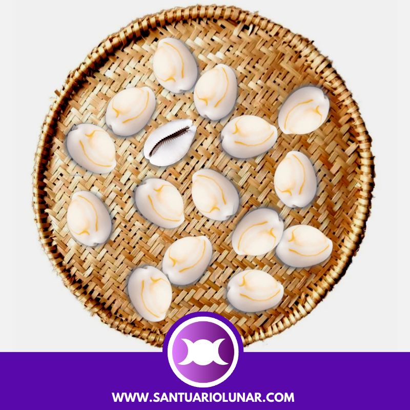 Free Cowrie Shells spiritual meaning reading - 01 Odu Okaran