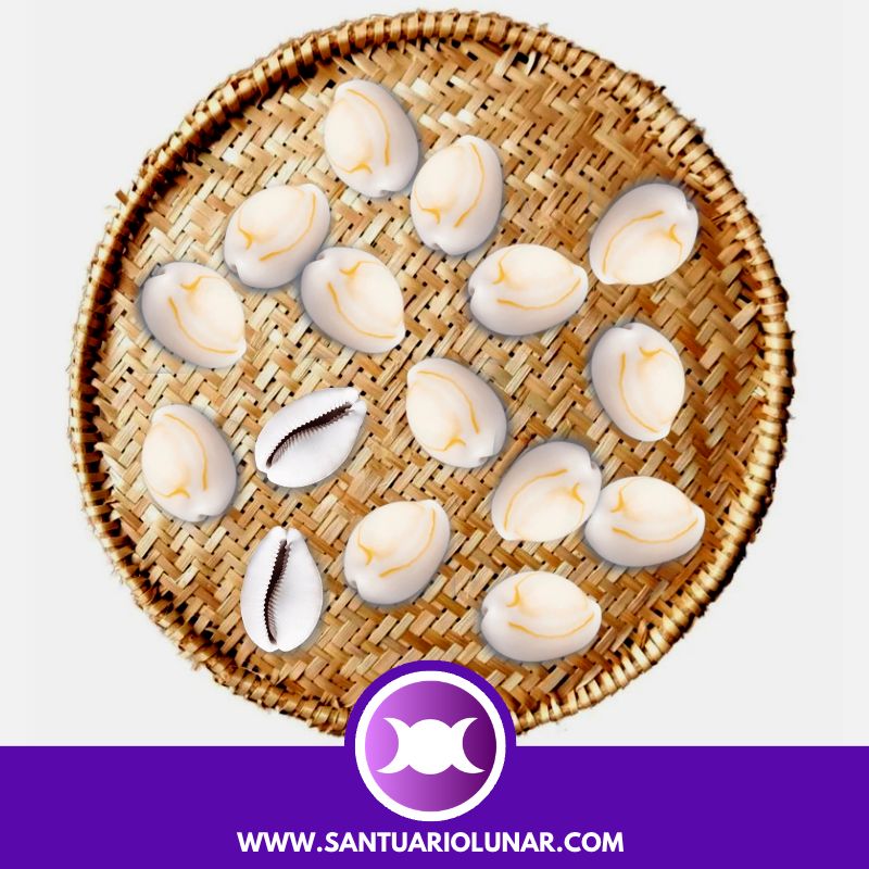 Free Cowrie Shell spiritual meaning reading - 02 Odu Egi Okô