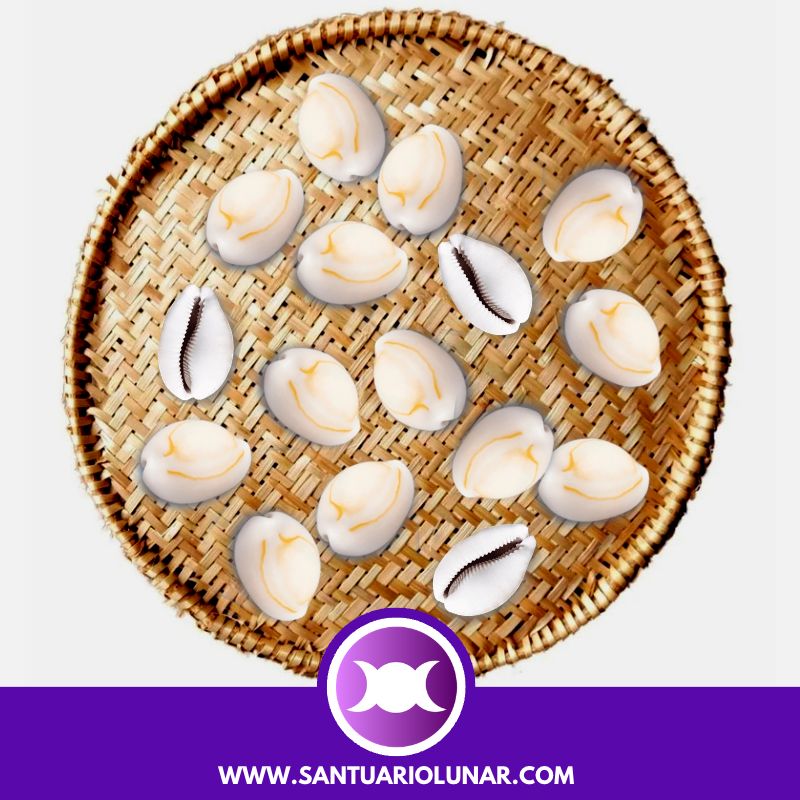 Free Cowrie Shells spiritual meaning reading - 03 Odu Eta Ogundá