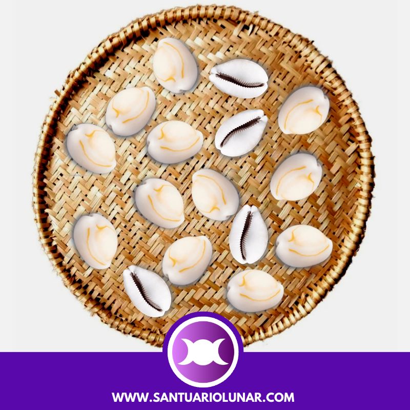 Free Cowrie Shells spiritual meaning reading - 04 Odu Yorosun