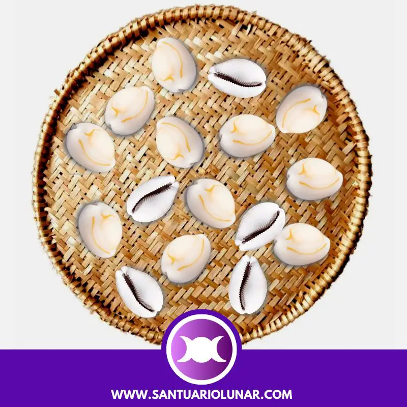 Free Cowrie Shells spiritual meaning reading - 05 Odu Oxé