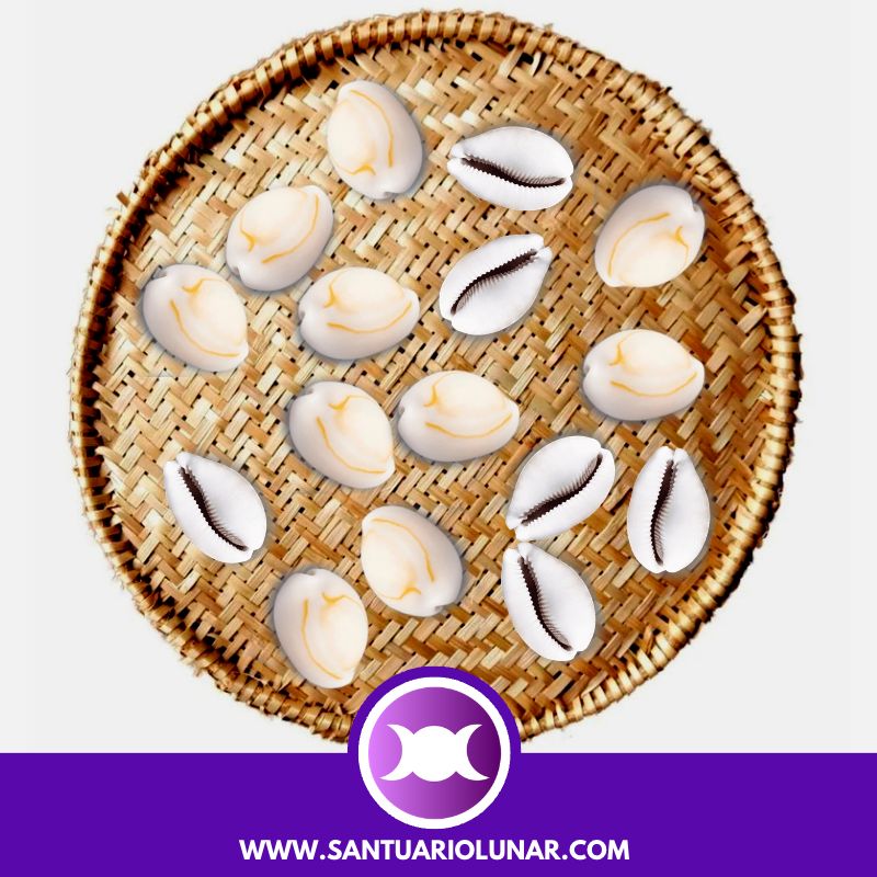 Free Cowrie Shells spiritual meaning reading - 06 Odu Obará