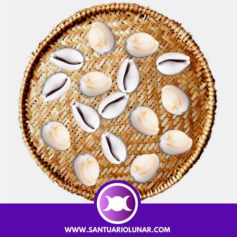 Free Cowrie Shells spiritual meaning reading - 07 Odu Odi