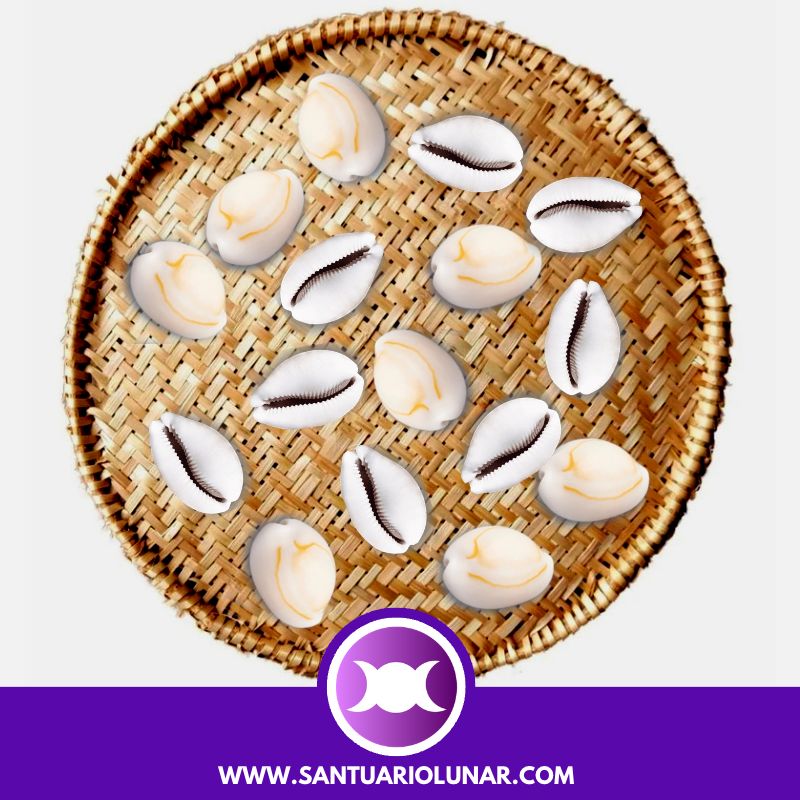 Free Cowrie Shells spiritual meaning reading - 08 Odu Egi Oliné