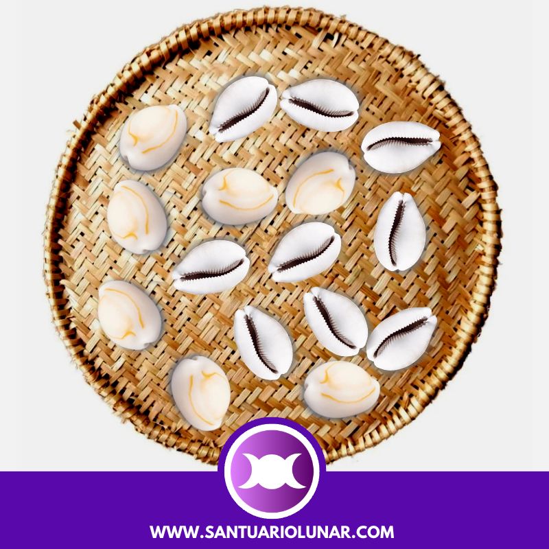 Free Cowrie Shells spiritual meaning reading - 09 Odu Egi Ossá