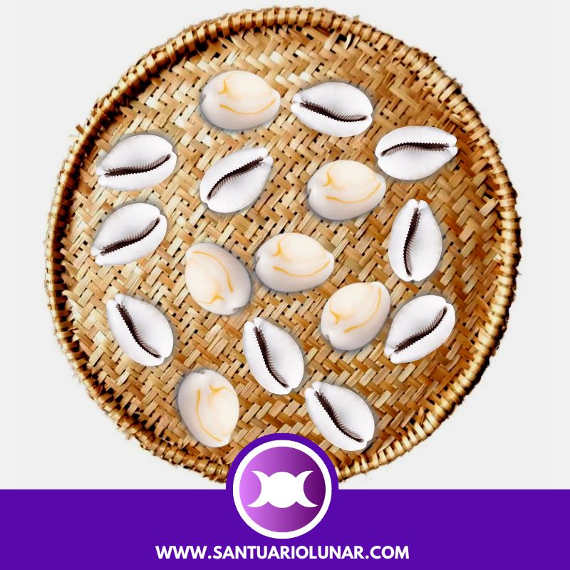 Free Cowrie Shells spiritual meaning reading - 10 Odu Ofun