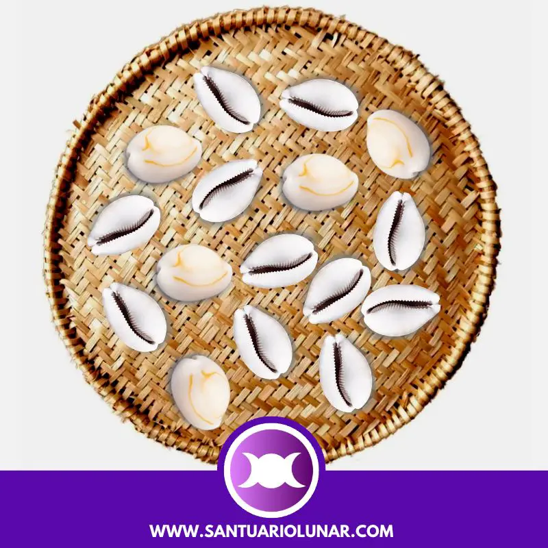 Free Cowrie Shell spiritual meaning reading - 11 Odu Owarin