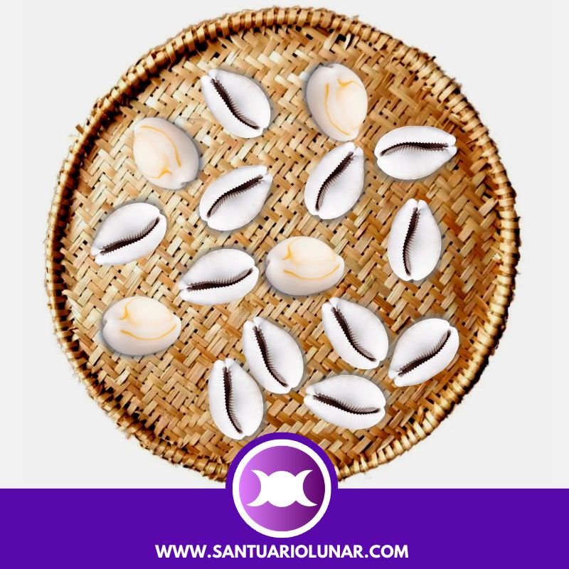 Free Cowrie Shells spiritual meaning reading - 12 Odu Egi Laxeborá