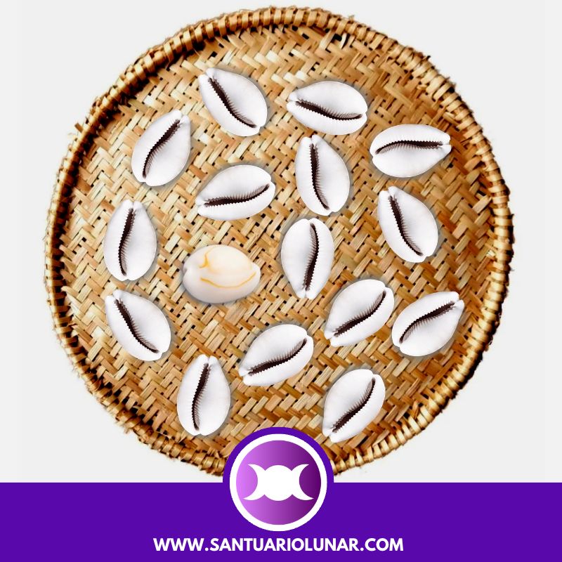 Free Cowrie Shells spiritual meaning reading - 15 Odu Obe Ogundá