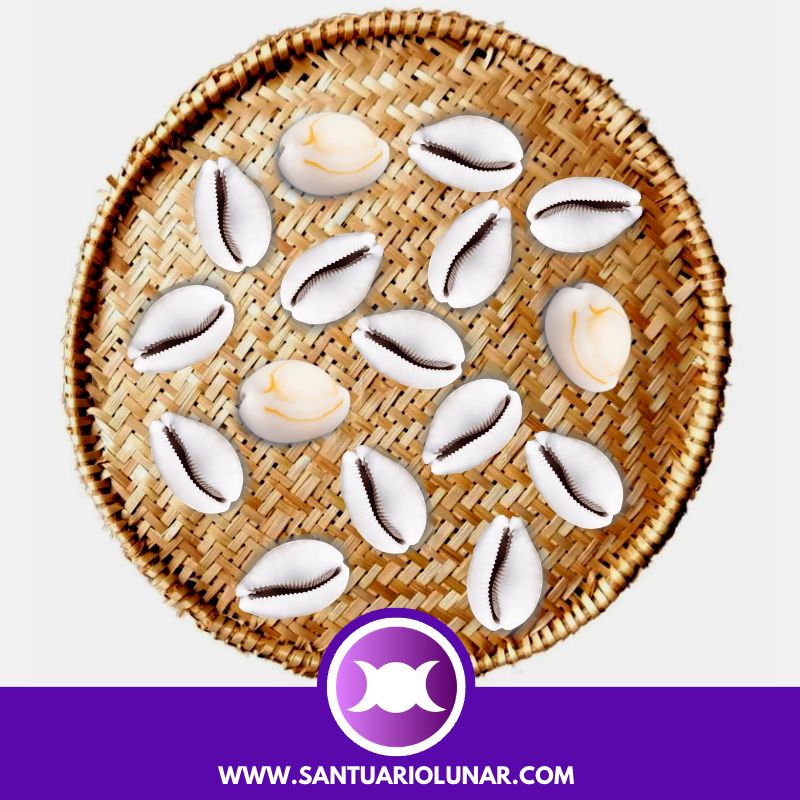 Free Cowrie Shells spiritual meaning reading - 13 Odu Egi Ologbon