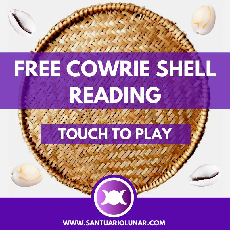 Free Cowrie Shells spiritual meaning reading - XX Front