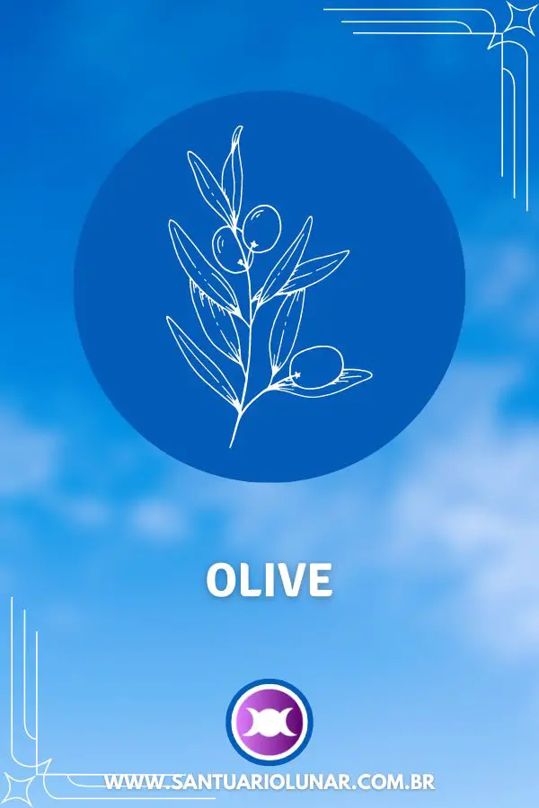Symbols of Athena - 02 Olive