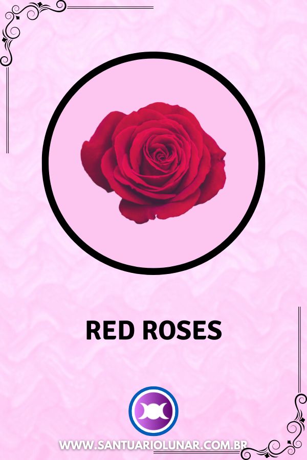 Symbols of Aphrodite - 02 Red Roses