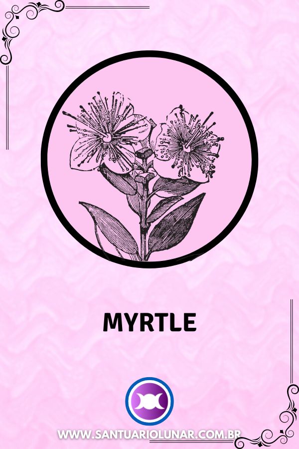 Symbols of Aphrodite - 04 Myrtle